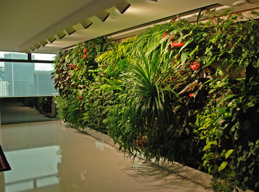 ronaldluofficeverticalgardenhongkong_0.jpg